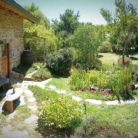 Driade Holiday home